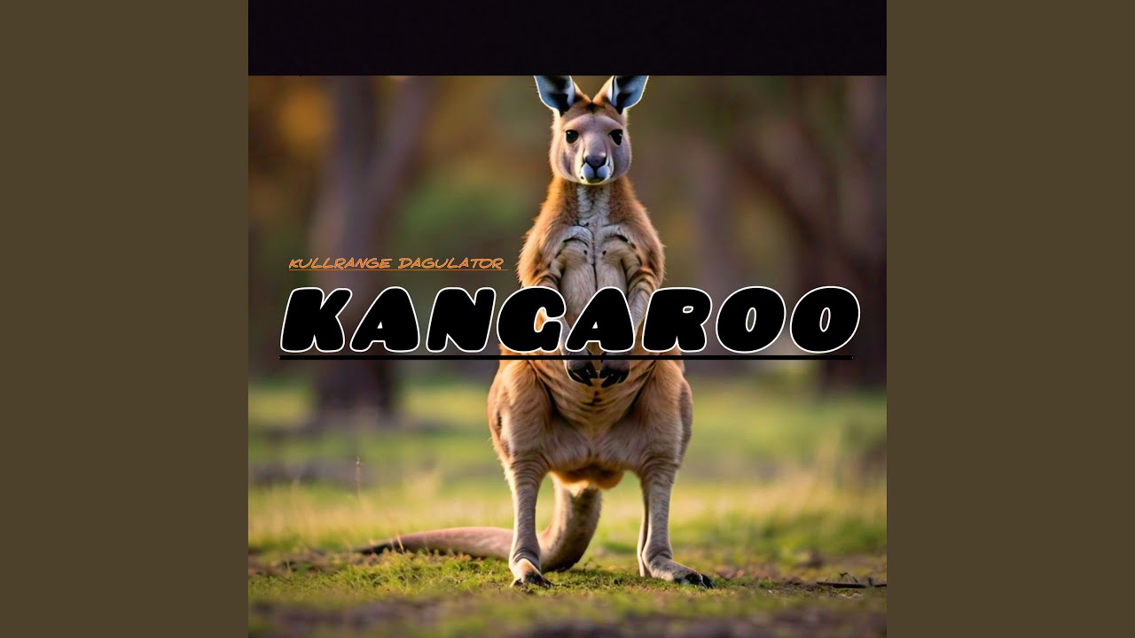Sleduj Kangaroo na YouTube Sleduj Kangaroo na YouTube