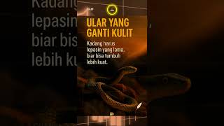 Ular yang Ganti Kulit — Investor Bijak Tahu Kapan Harus Lepas