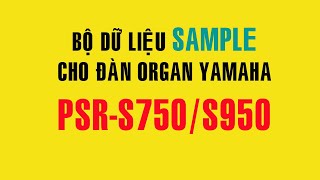 Nghe Sample cho Đàn Organ Yamaha PSR S750 S950 (USB 400k)
