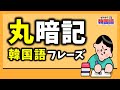 【韓国語聞き流し】丸暗記が最速!話したい人のための韓国語会話フレーズ - ep.01