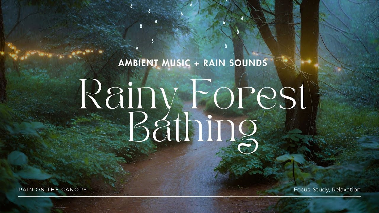 Rainy Forest Bathing Walk 🌳 Ambient Music for Relaxation and Meditation ...