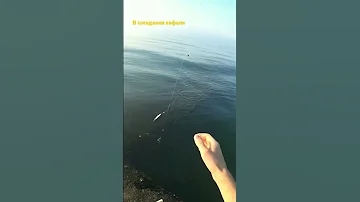 морская рыбалочка на кефаль.