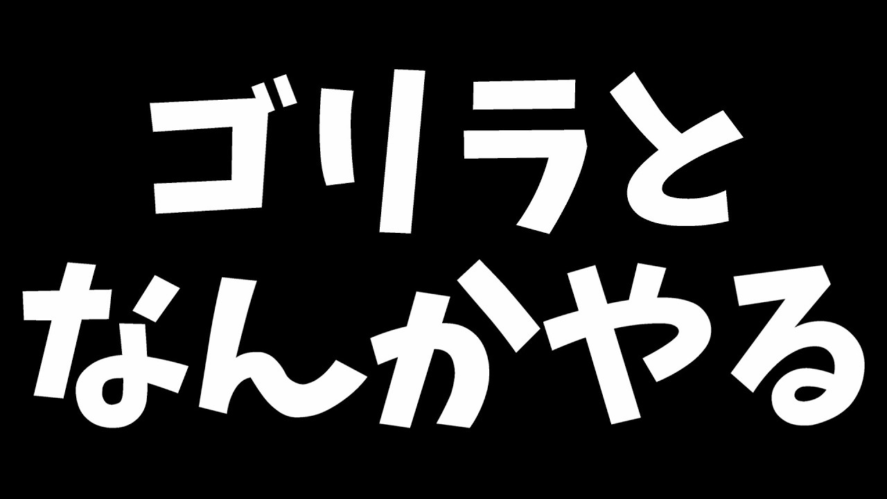 ゴリラと遊ぼう