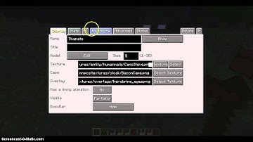 Mc Plays | Mod Showcase : Custom npc mod | episode 1