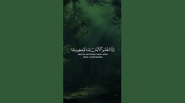 إن الله يأمر بالعدل والإحسان من سورة النحل بصوت أحمد الشافعي