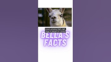 The Mind Boggling Complexity of Chess More Possible Game Variations Than Atoms in the Known Universe