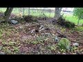 Something hidden at the backyard.