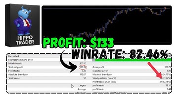 Hippo Trader Pro EA | Trend-Following Forex Robot Review & Backtest (EURUSD M1)