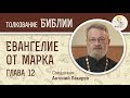 Евангелие от Марка. Глава 12. Священник Антоний Лакирев. Новый Завет