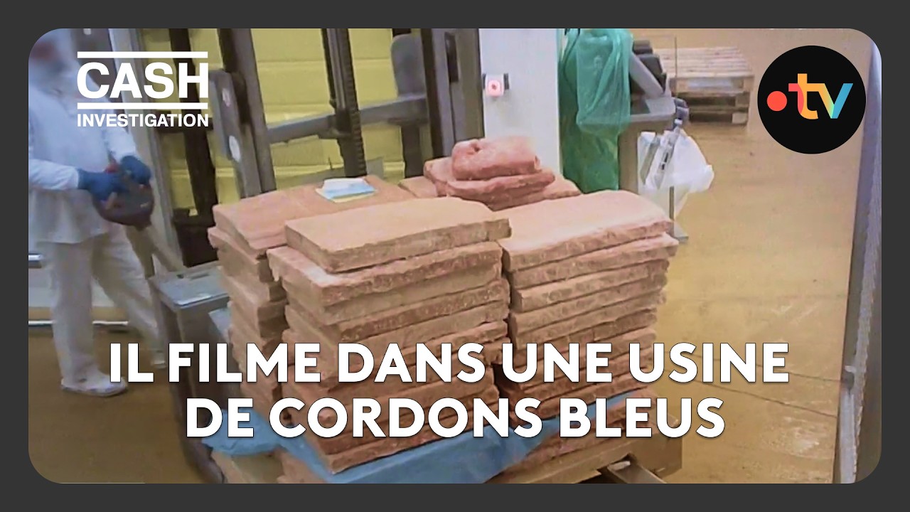 Il découvre comment sont fabriqués les cordons bleus industriels - Cash Investigation