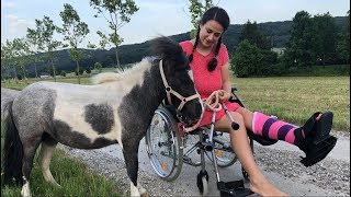 Suche nach meinem Reitunfall eine Pflegebeteiligung für meine Pferde