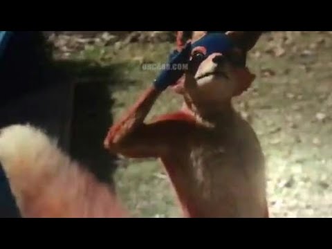 dora-and-lost-city-of-gold-(2019)-leaked-swiper-no-swiping