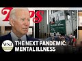 Mental Illness is America's Next Pandemic | Wonder Land: WSJ Opinion
