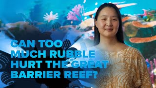Can too much rubble hurt the great barrier reef?