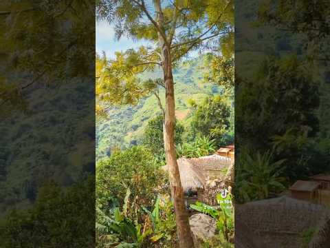 Hiking With My Love On Morogoro Mountain 