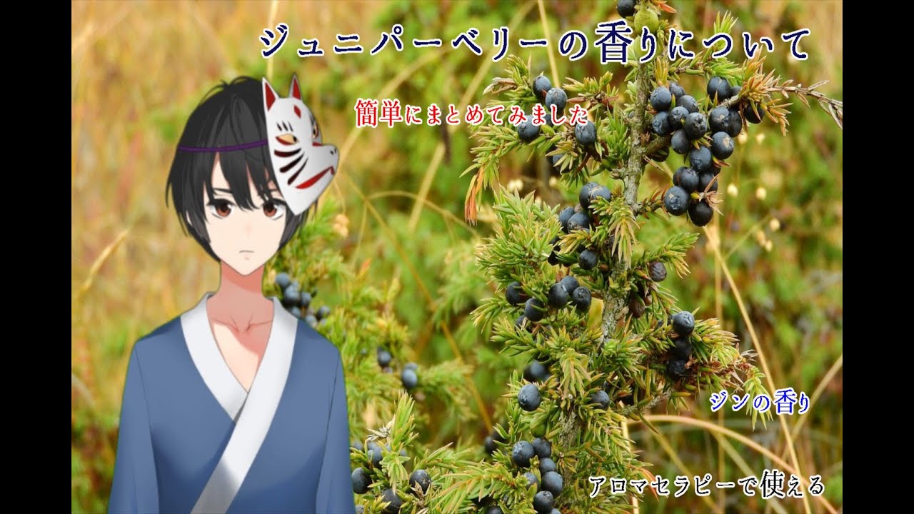 ジュニパーベリーの香りについて Shinichi Sakura Note