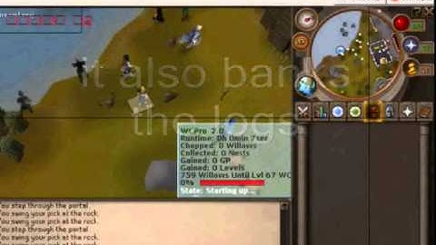 [FREE] Working 2007 Runescape bot - Over 30 Scripts! Works for rs07!