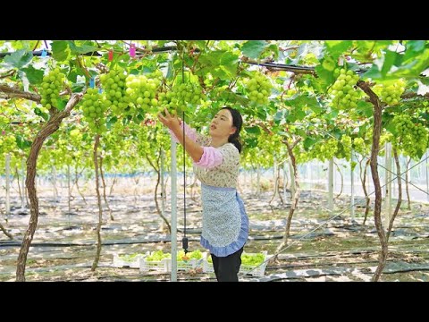 甜蜜的葡萄遇上香酥的炸雞，花心思的驚喜，想要讚美回應。【乡愁沈丹 Shen Dan】