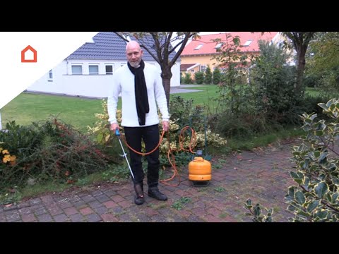 Video: Hvilke gasser er det i en fjert?