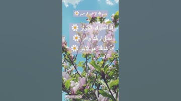 سورة الكوثر عبد الرحمن مسعد 🌼