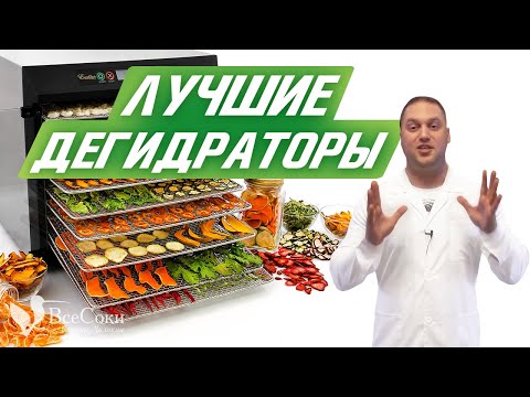 Как выбрать дегидратор? Подробный обзор.