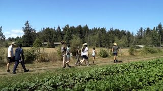 LifeCycles x SOSC 300 #UVic