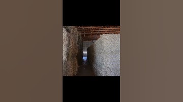 Marcrest  - Rod Bolls Rebaling With The Bale Baron 5250