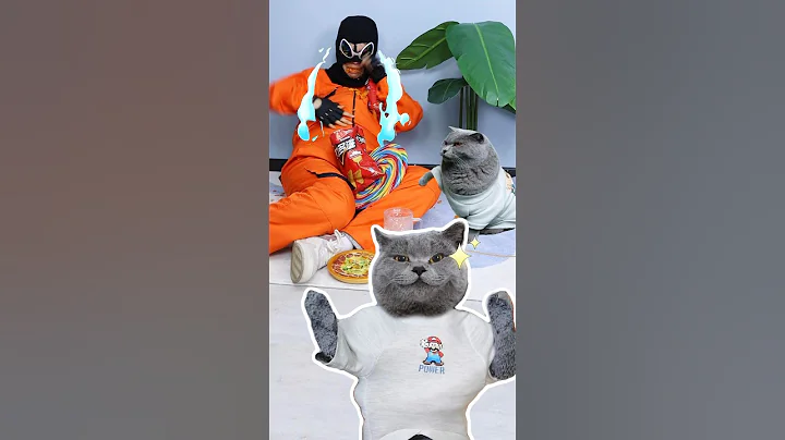 Video 3612011: sweet funnycats, funny cat