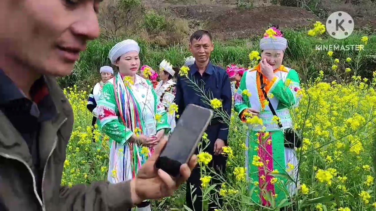 Maiv kab yaj paj yeeb lis thiab tij laug haj kwv txhiaj ua niam loj los ua niam yauv