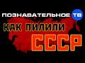 Как пилили СССР (Познавательное ТВ, Николай Стариков)