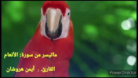ما تيسر من سورة الأنعام القارئ: أيمن هروشان