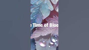 Thumbnail of Please enjoy the full version of the song as well! #healingmusic #relaxing #peacefulmusic