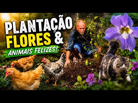 Vida na roça : plantando árvores , cuidando das flores e das galinhas felizes || Miro MLS