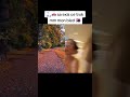 2025 09 23 @webjetclouds 7553204859382582550
