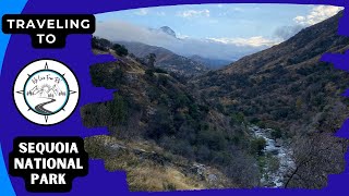 Traveling to Sequoia National Park