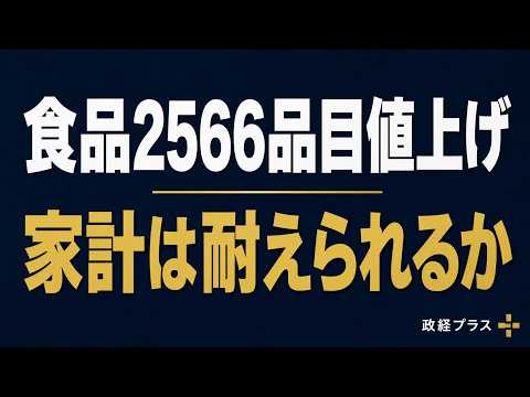 2026年7月の食品値上げと家計支援を整理する動画