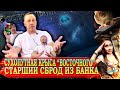 СУПЕР ПРИКОЛ/ГЕРПЕС АДОЛЬФОВИЧ И ГЕРАСИМ/ НЕСТОЯК У ЕГОРЫЧА |/Кузнецов | Аллиам