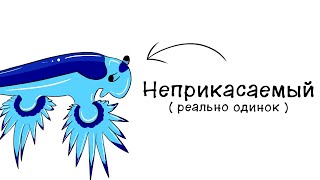 :  -   (     )