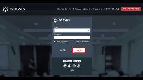 Canvas Introduction Video