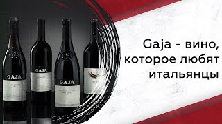 Gaja - вино, которое любят итальянцы