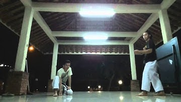 Wadokai WANSHU & FREE BUNKAI PRACTICE