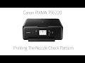 Canon PIXMA TS6220 -- Printing The Nozzle Check Pattern