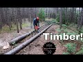 Cutting Down Red Pine Trees For Siding | Equipment Shed Build - Ep. 11