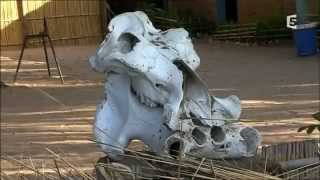Voyage sur le lac Malawi - France 5 - Documentaire- 2015