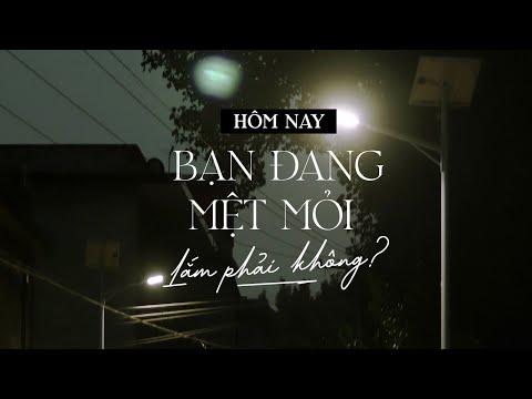 Hôm nay, Bạn