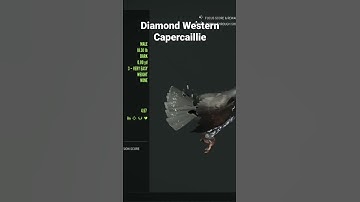 Diamond Western Capercaillie | thehunter call of the wild