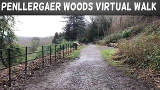 Penllergaer woods - Virtual walk