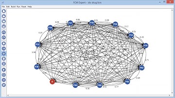 FCM Expert: a software for fuzzy cognitive modeling