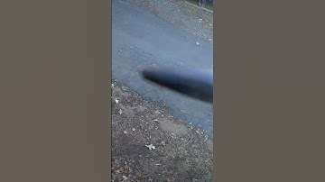 Blink cameras are tough! #Amazon  #birds #blink