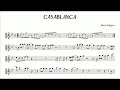 "Casablanca" Alto Saxophone Cover 김 은산 연주